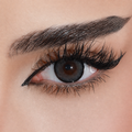 Aries Lens